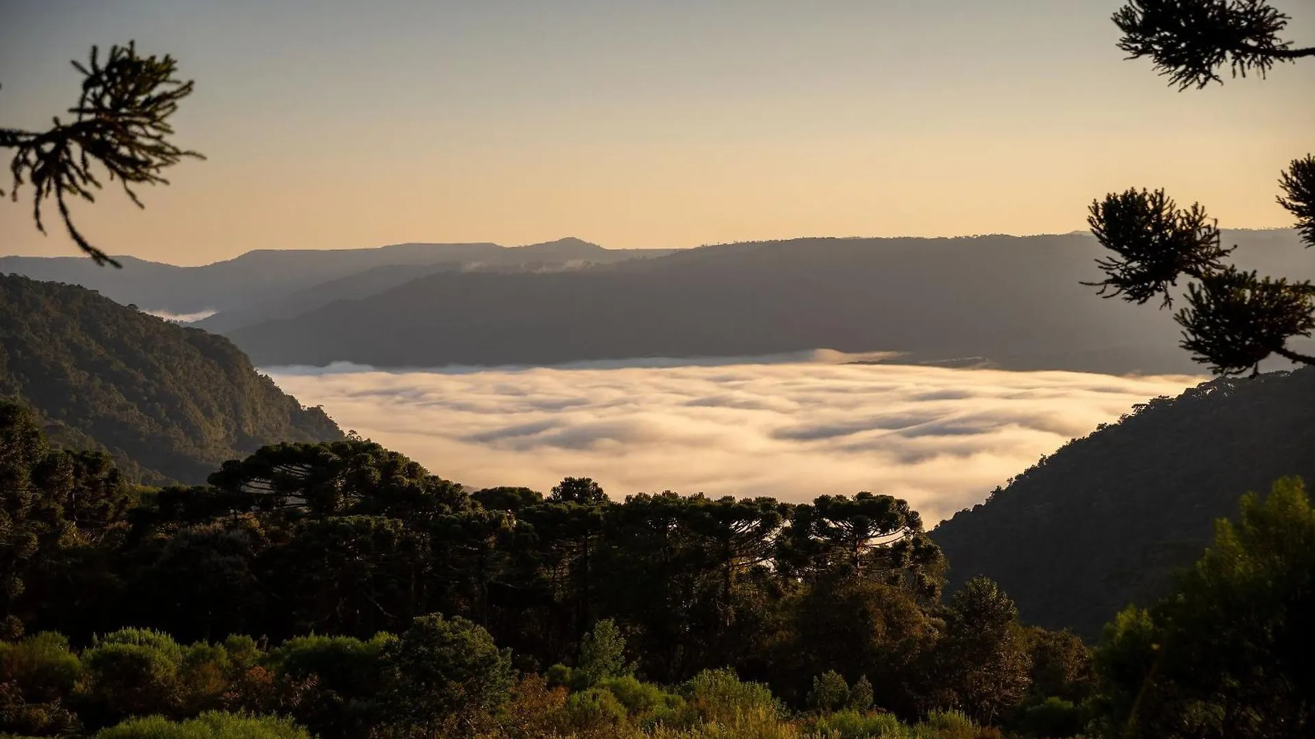 Chalé Privativo Stratus para casal - Morro da Igreja, Urubici-SC - Sítio Mar de Nuvens
