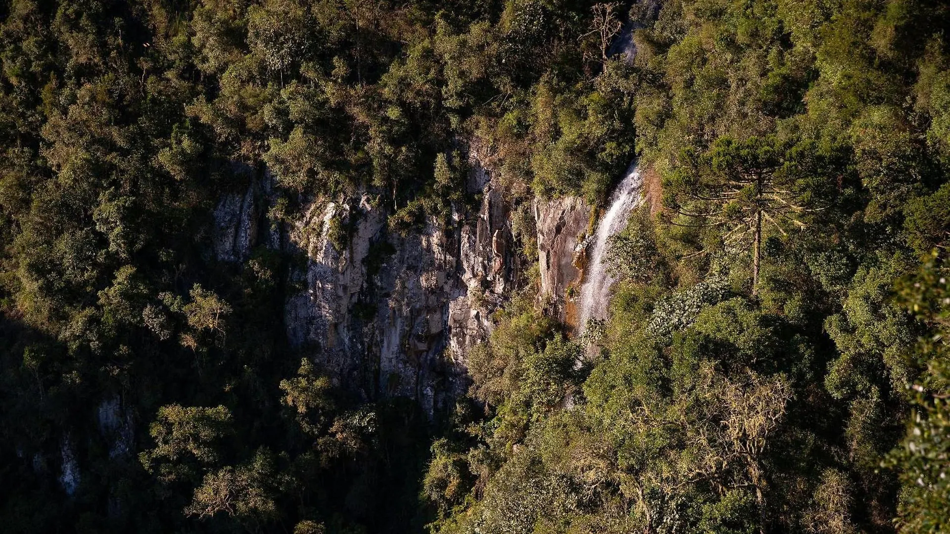 Chalé Privativo Stratus para casal - Morro da Igreja, Urubici-SC - Sítio Mar de Nuvens